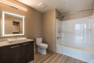 Modern bathroom with vanity and bathtub