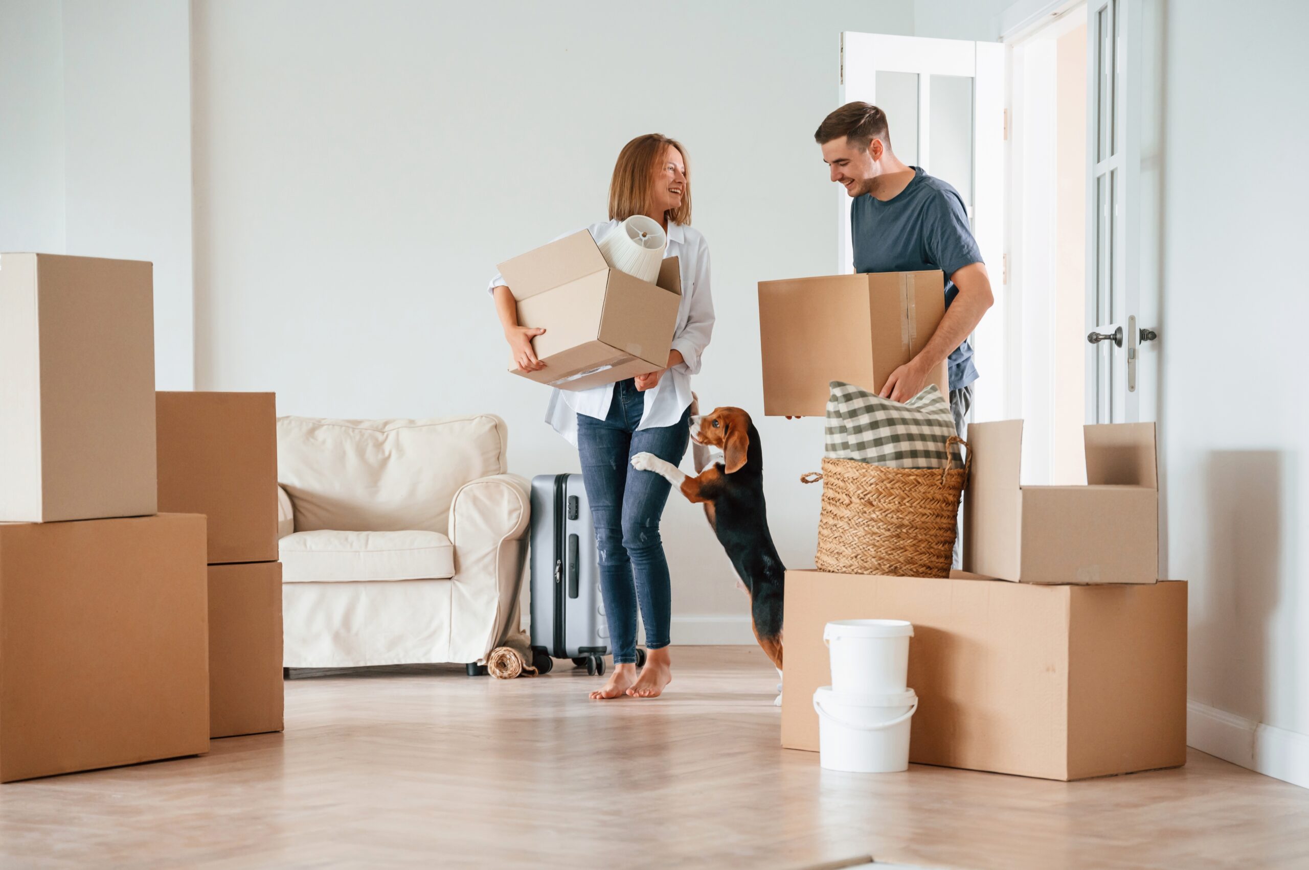 Couple moving into new apartment in roseville ca with dog